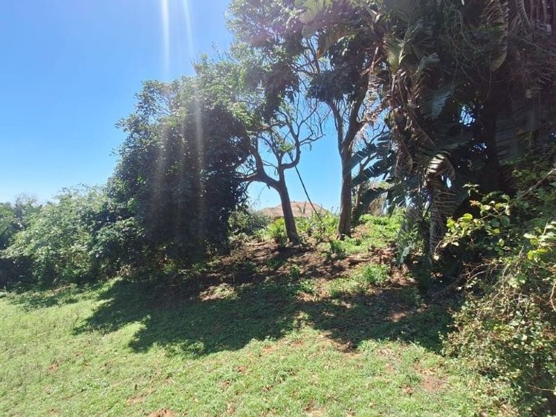 A view of the sloped, naturally landscaped garden area featuring mature trees and established vegetation on the residential plot.