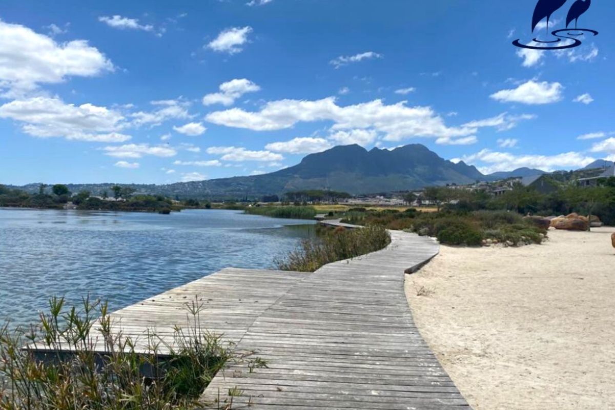 Where Families Grow and Lifestyles Elevate - Photo 2