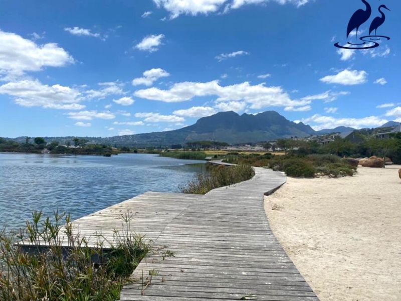 Where Families Grow and Lifestyles Elevate - Photo 2