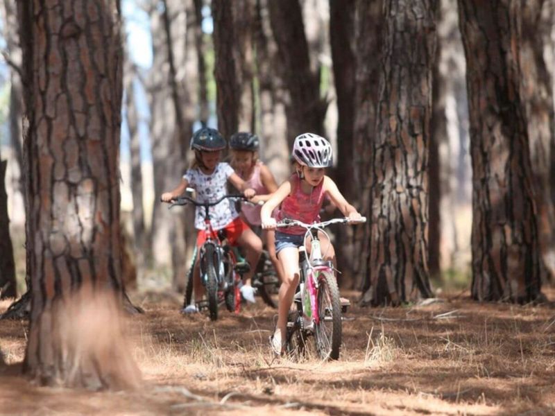 Where Families Grow and Lifestyles Elevate - Photo 4