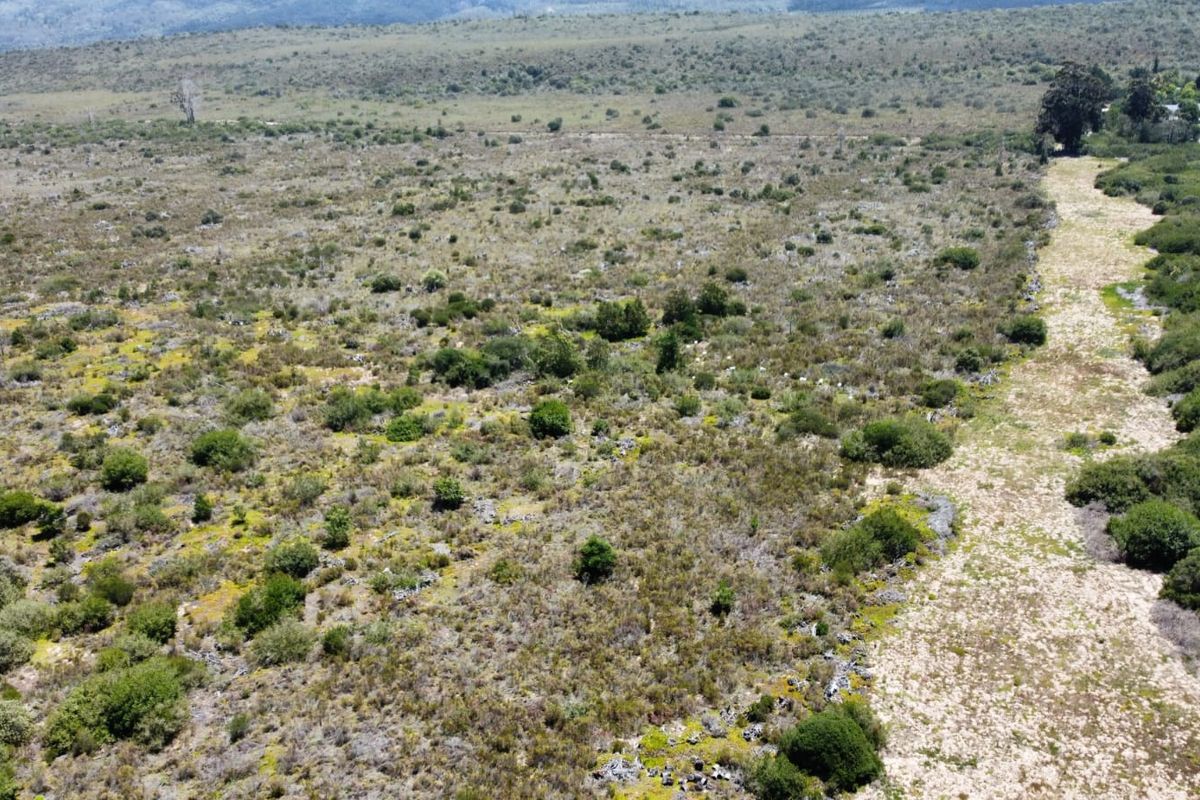 A rare 35-hectare flat agricultural property near Sedgefield.  - Photo 4