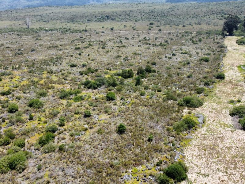 A rare 35-hectare flat agricultural property near Sedgefield.  - Photo 4