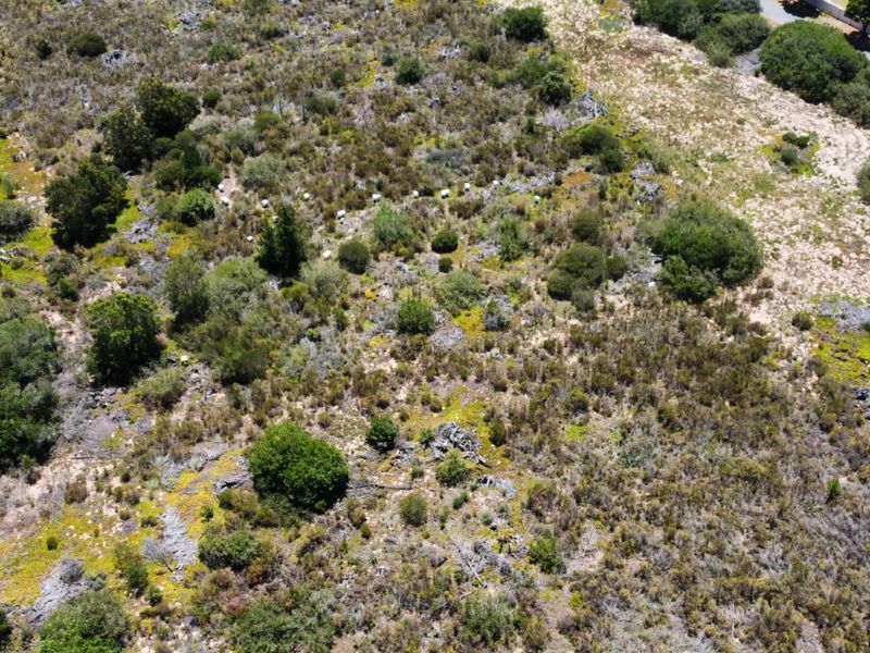 A rare 35-hectare flat agricultural property near Sedgefield.  - Photo 10