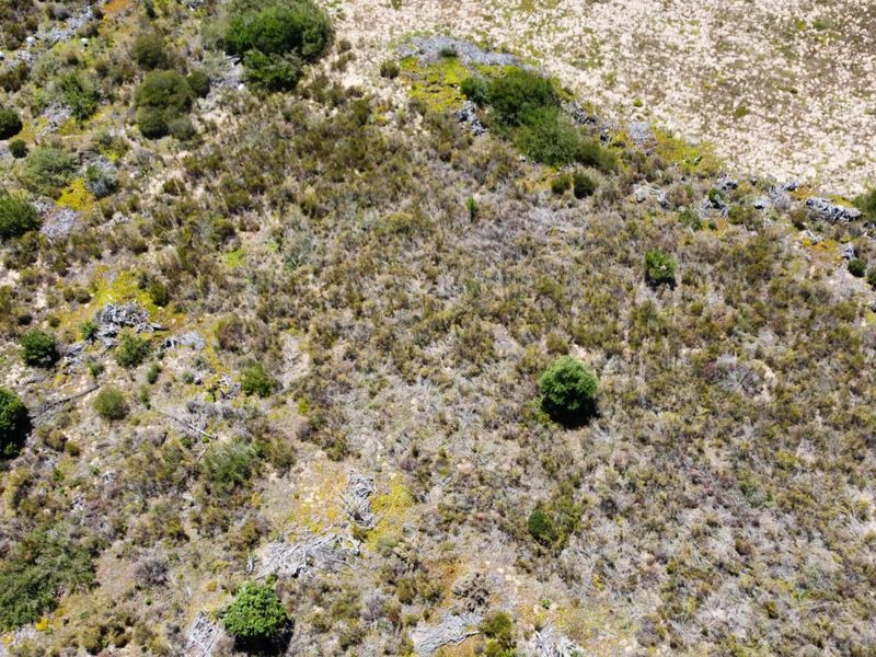 A rare 35-hectare flat agricultural property near Sedgefield.  - Photo 9