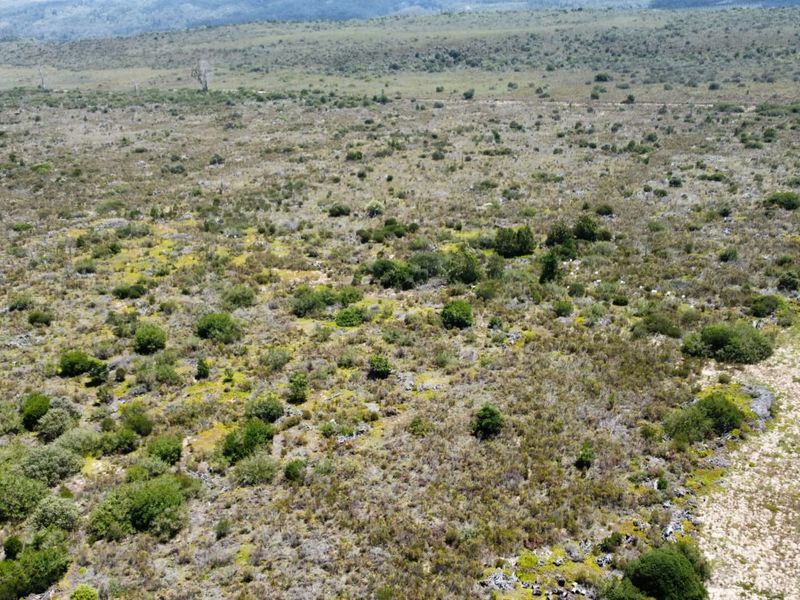 A rare 35-hectare flat agricultural property near Sedgefield.  - Photo 7