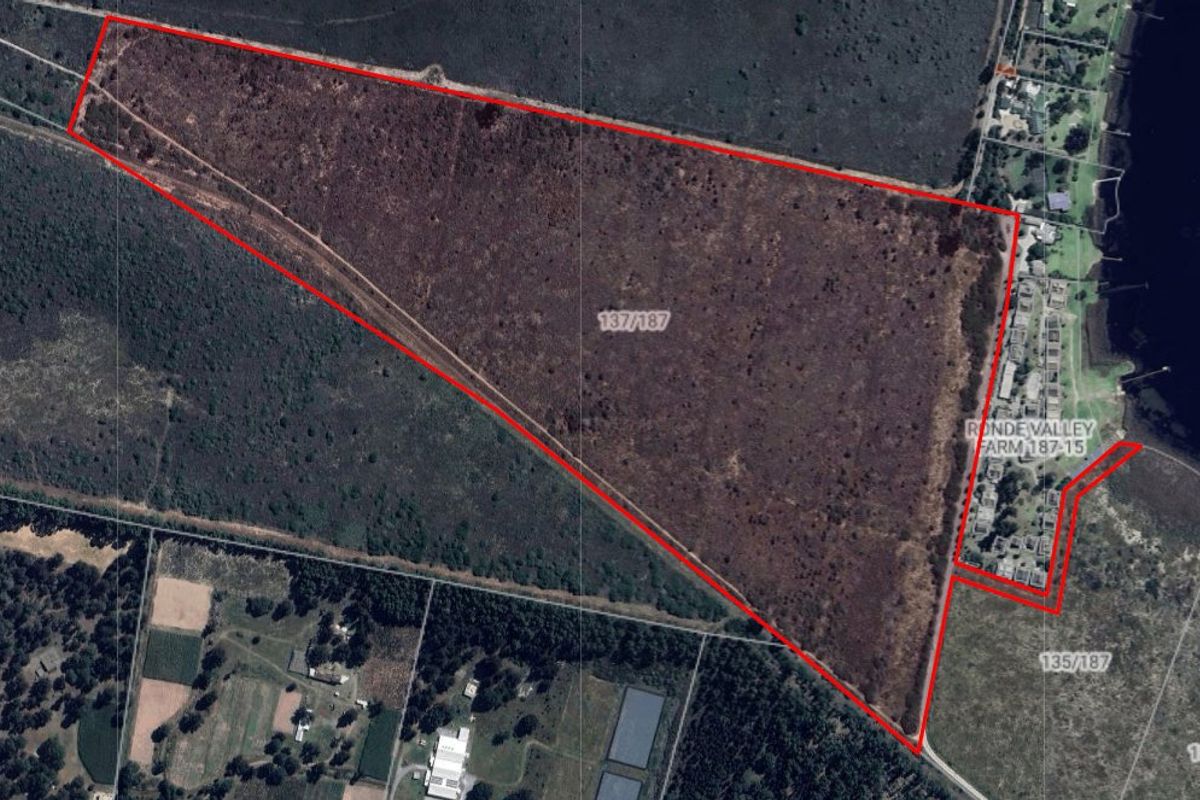 A rare 35-hectare flat agricultural property near Sedgefield.  - Photo 2