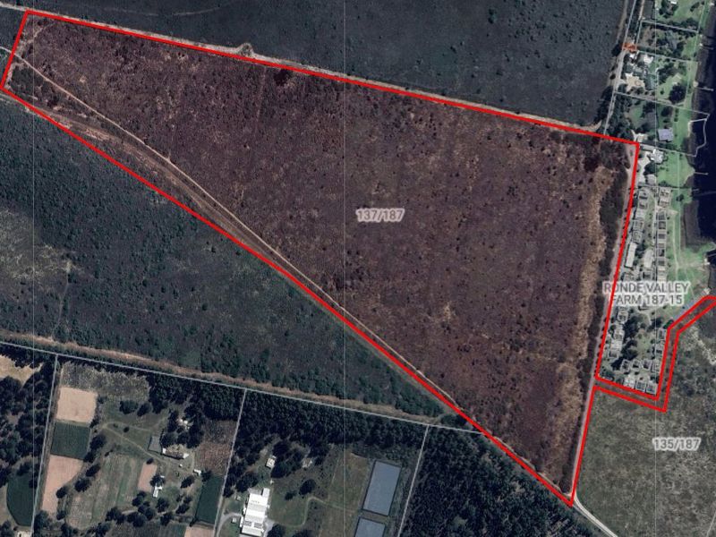 A rare 35-hectare flat agricultural property near Sedgefield.  - Photo 2