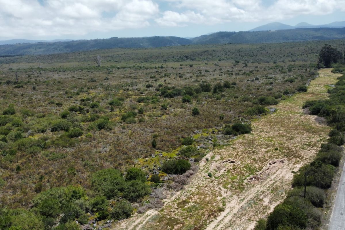 A rare 35-hectare flat agricultural property near Sedgefield.  - Photo 5