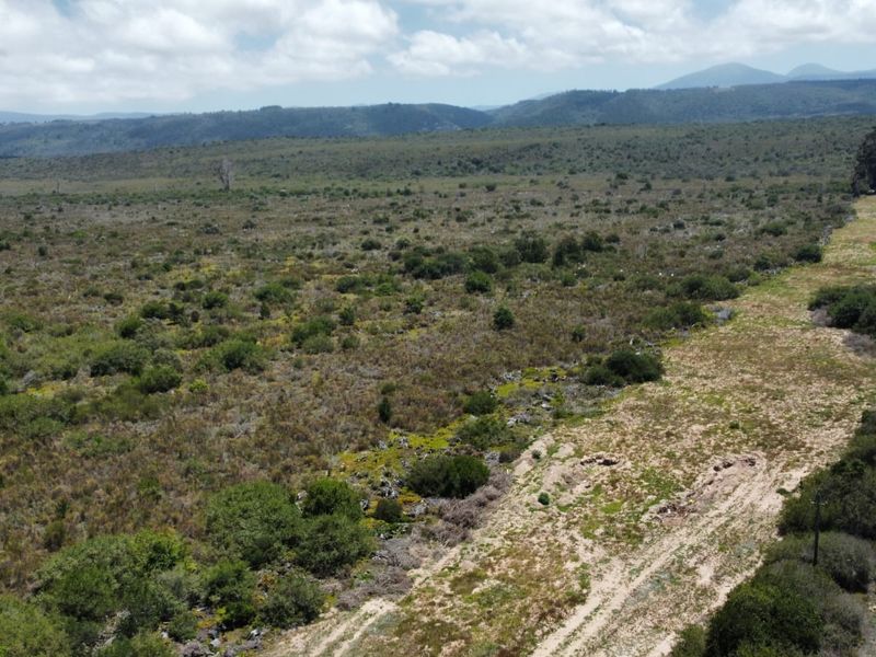 A rare 35-hectare flat agricultural property near Sedgefield.  - Photo 5