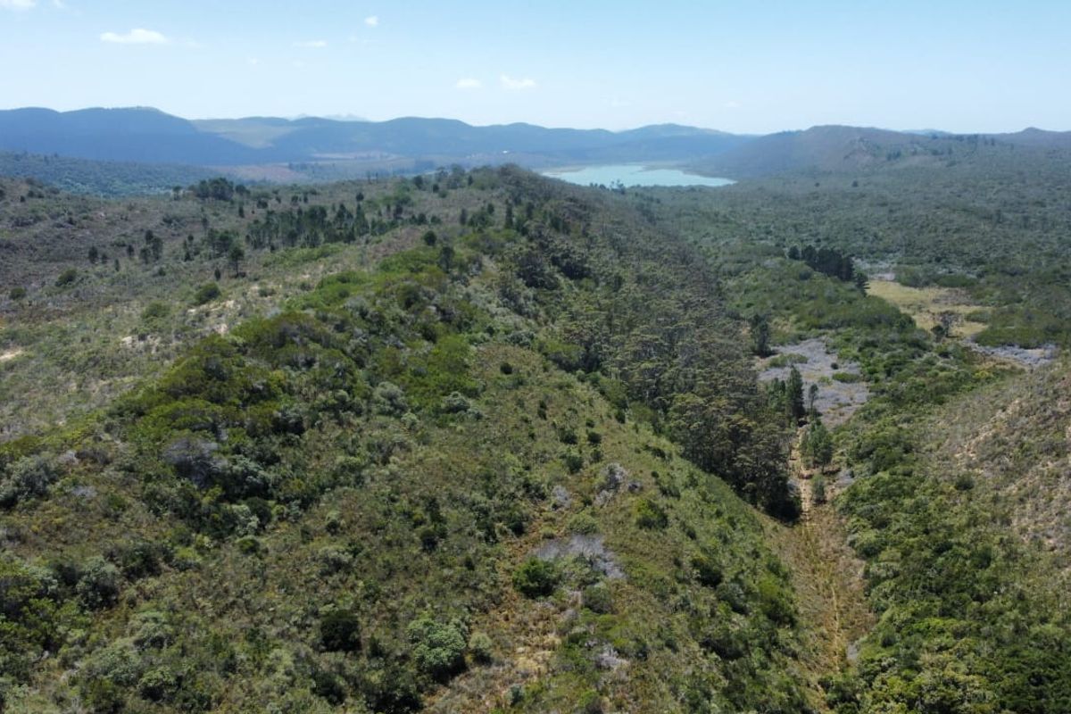 This exceptional 89-hectare property in Cola Beach is now for sale.  - Photo 4