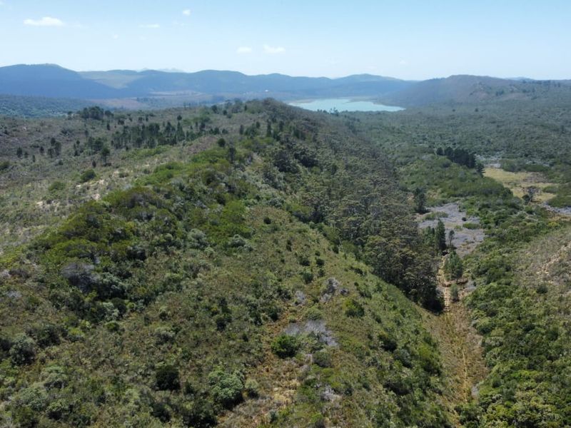 This exceptional 89-hectare property in Cola Beach is now for sale.  - Photo 4