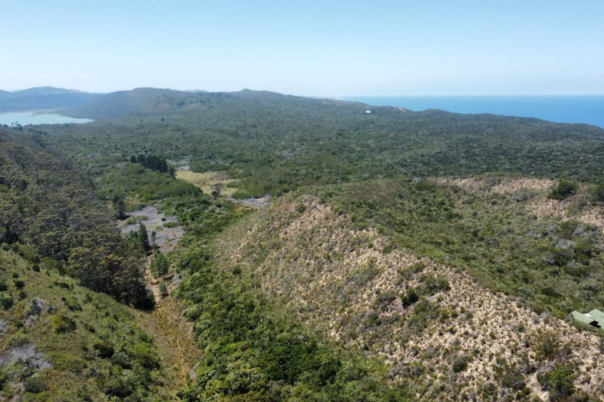 This exceptional 89-hectare property in Cola Beach is now for sale.  - Photo 5