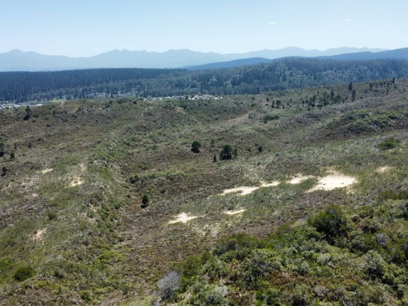 This exceptional 89-hectare property in Cola Beach is now for sale.  - Photo 3