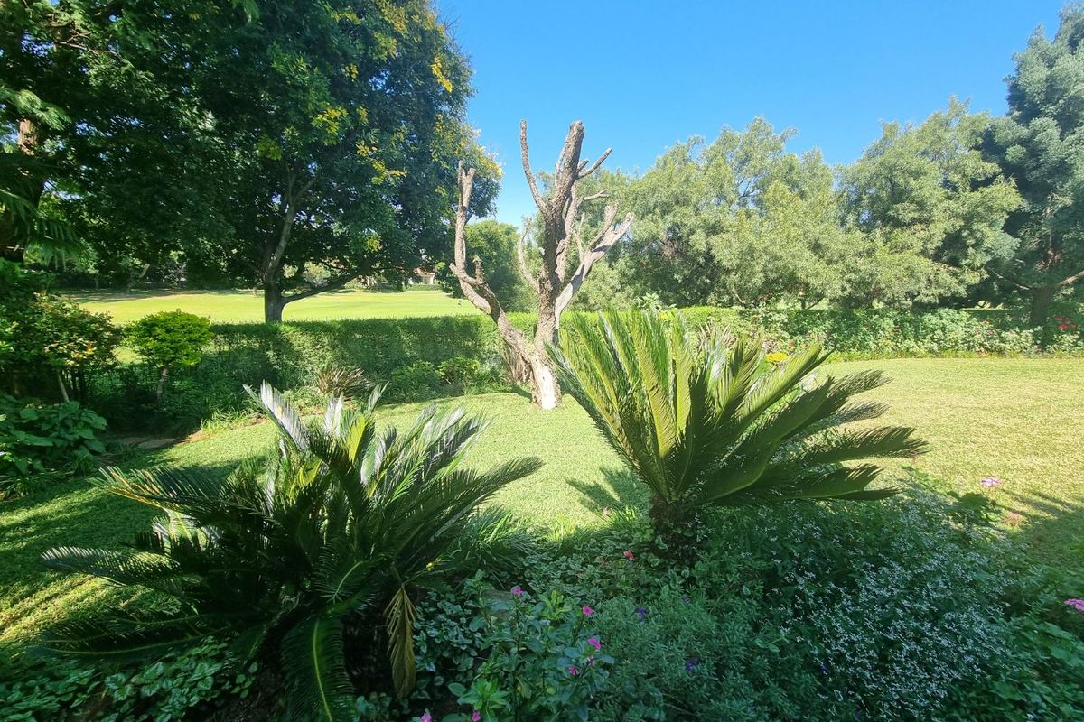 BEAUTIFUL STAND IN KOSMOS  - Photo 4