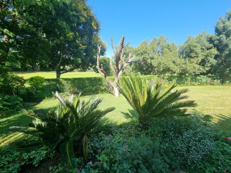 BEAUTIFUL STAND IN KOSMOS  - Photo 4