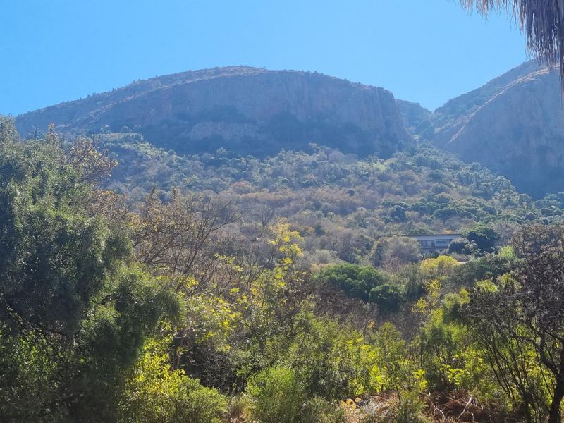 BEAUTIFUL STAND IN KOSMOS  - Photo 10