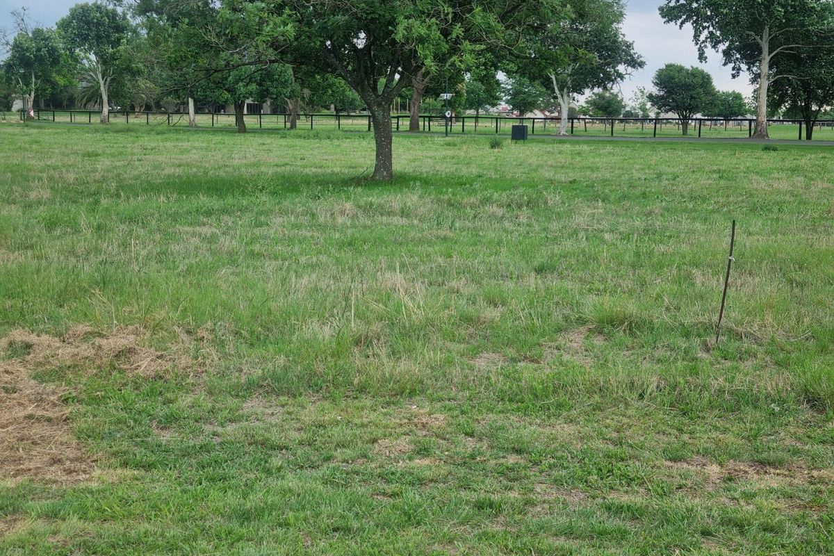 Your Perfect Stand Awaits in a Beautiful Farm Estate - Photo 3