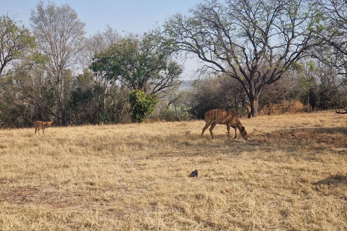 Your Perfect Stand Awaits in a Beautiful Farm Estate - Photo 2
