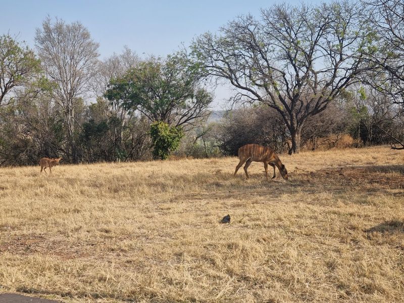 Your Perfect Stand Awaits in a Beautiful Farm Estate - Photo 2