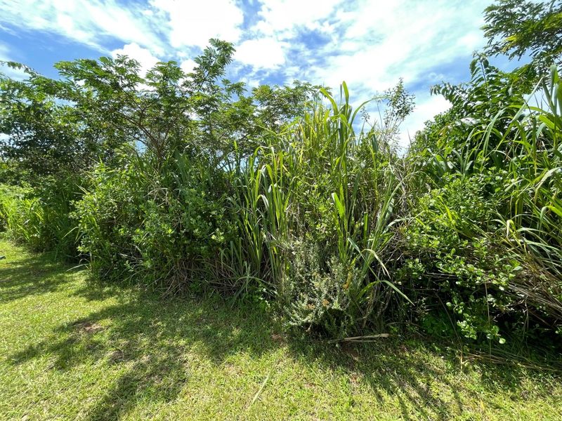 Prime 533m2 Vacant Land for Sale in Ukusa River Estate, Sea Park - Photo 4