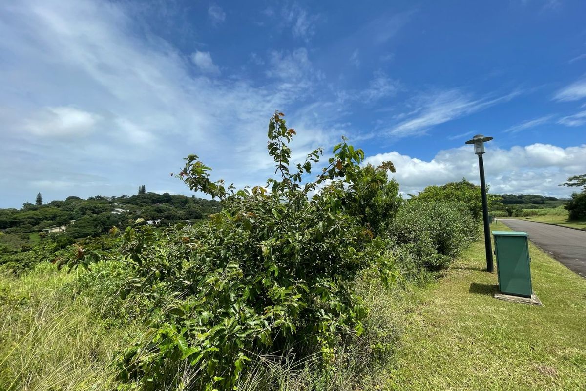 A view of a vacant residential plot featuring established greenery, a street lamp, and utility infrastructure, set against a scenic landscape.