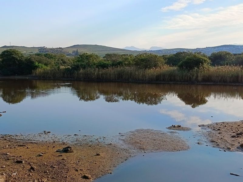 By Appointment:  Imagine Your Dream Home On This Riverfront!! - Photo 10