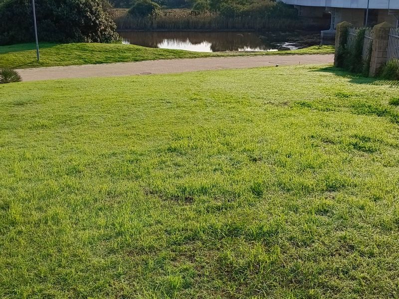 By Appointment:  Imagine Your Dream Home On This Riverfront!! - Photo 9