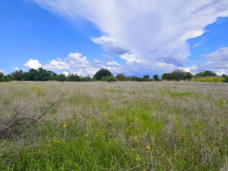 Stunning Waterfront Stand in Vaal Marina - Photo 10