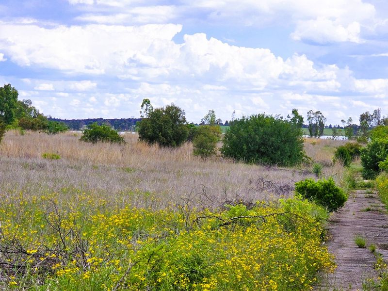 Stunning Waterfront Stand in Vaal Marina - Photo 7
