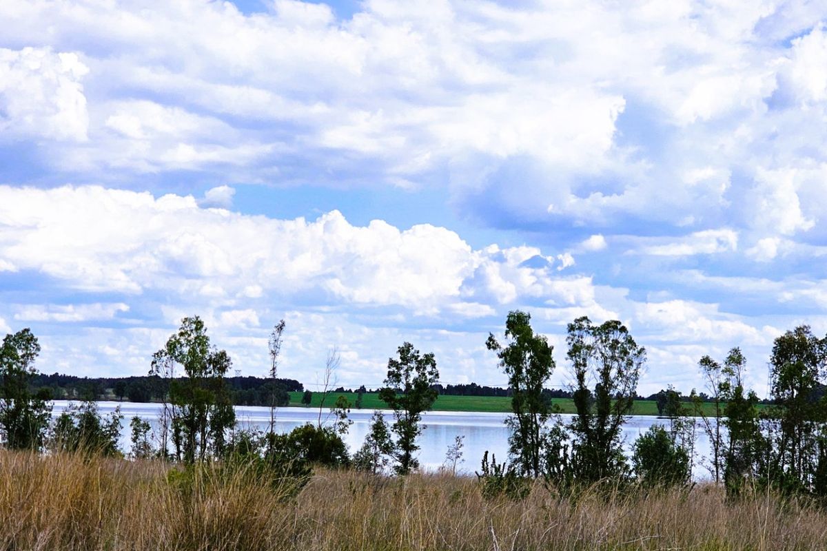 A scenic view of a tranquil lake surrounded by natural grassland and mature trees under a bright, cloudy sky.