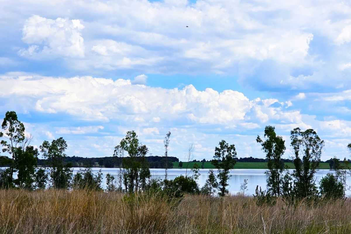 A scenic view of a tranquil lake bordered by natural trees and native grasses, showcasing the peaceful landscape of the vacant residential property.