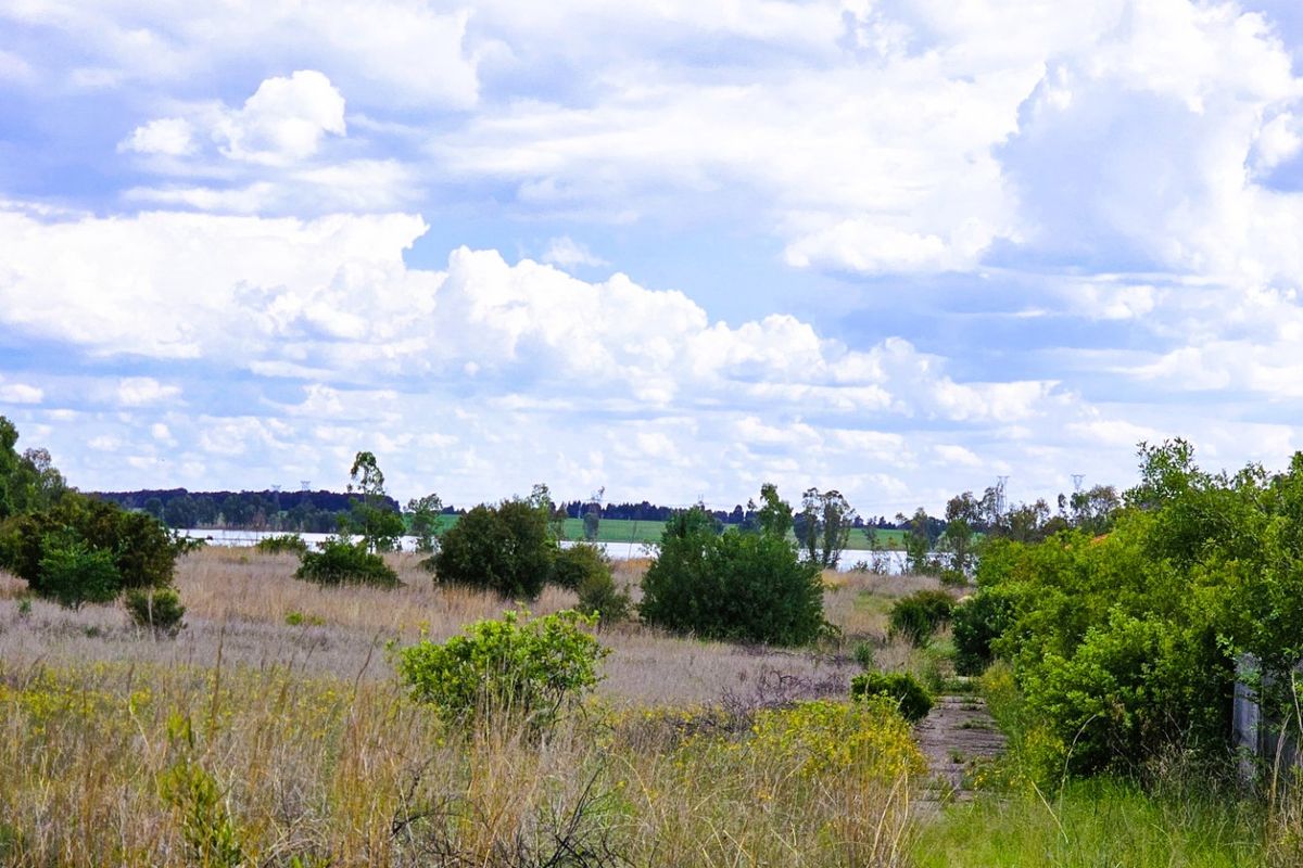A scenic view of an open, undeveloped residential land plot featuring natural vegetation and distant water views.