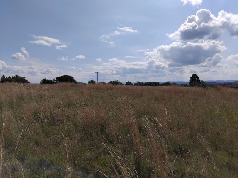 11 000 SQUARE METERS VACANT LAND/STAND PROPERTY FOR SALE - Photo 7