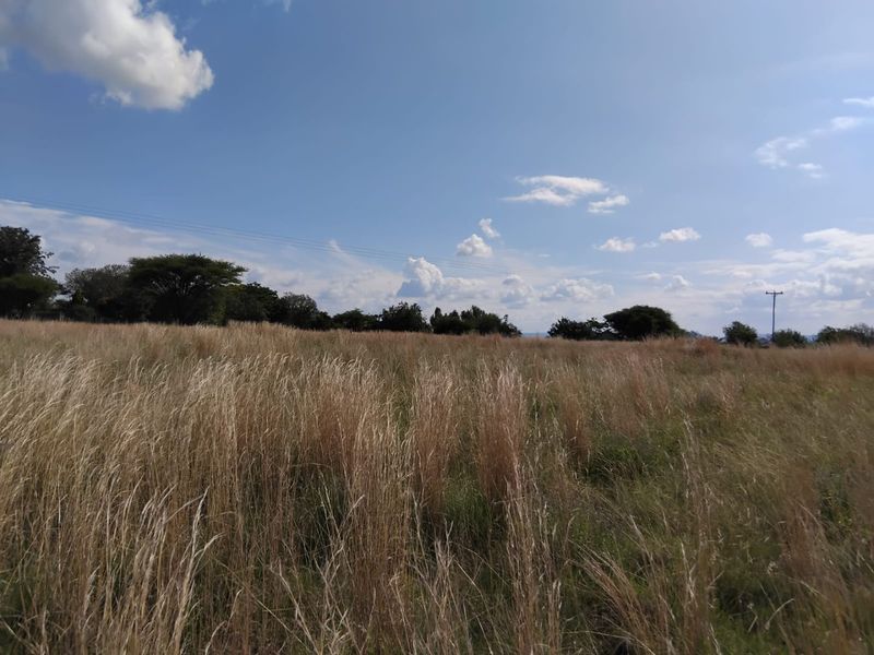 11 000 SQUARE METERS VACANT LAND/STAND PROPERTY FOR SALE - Photo 5