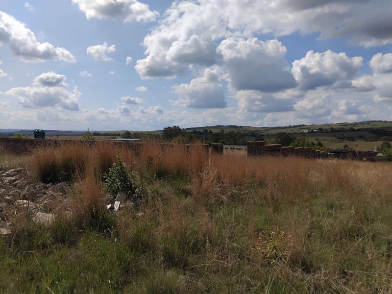 11 000 SQUARE METERS VACANT LAND/STAND PROPERTY FOR SALE - Photo 6