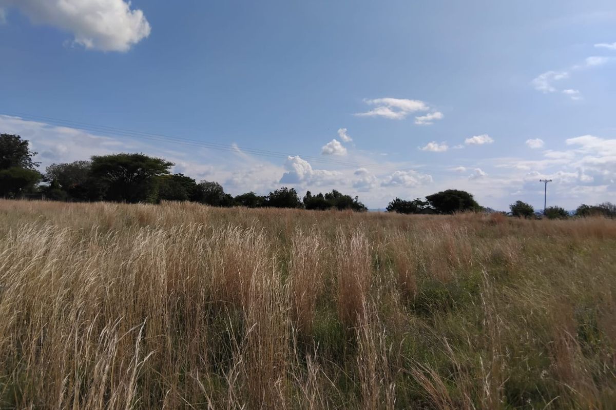 A view of an open, undeveloped residential plot covered in tall dry grass under a clear blue sky.