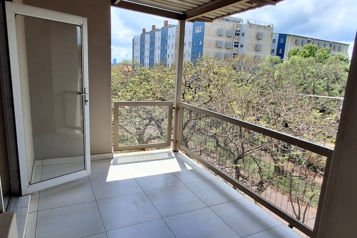 MODERN BATCHELOR IN CAMPUS ON PARK - PRICE REDUCED - Photo 3