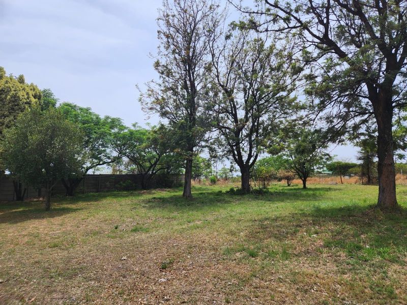 FOUR HECTARES FARM PROPERTY FOR SALE, - Photo 2