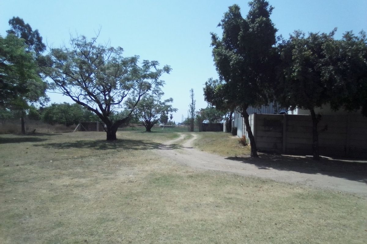 THREE HECTRARES FARM FOR SALE - Photo 4