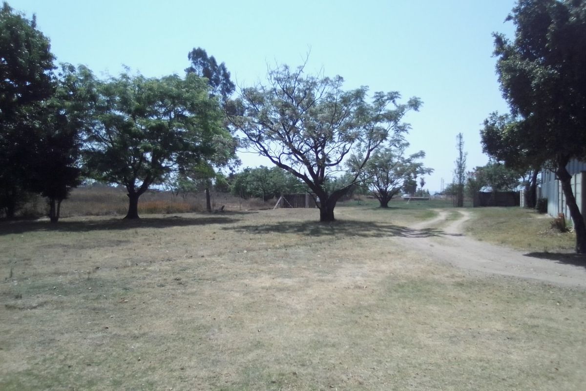 THREE HECTRARES FARM FOR SALE - Photo 3