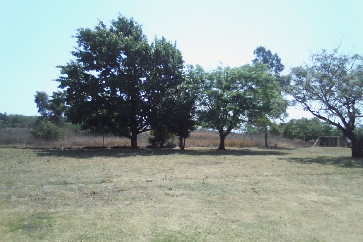 THREE HECTRARES FARM FOR SALE - Photo 2