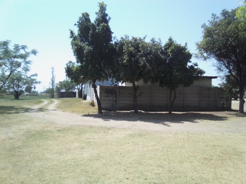 A view of the property grounds featuring a dirt driveway, mature trees, and a precast concrete boundary wall.