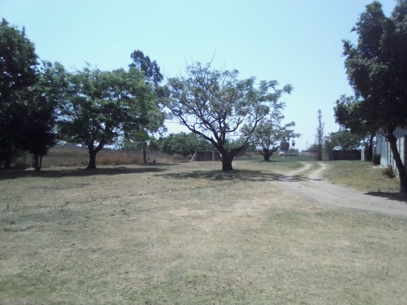 A wide-angle view of the farm grounds featuring a dirt driveway and mature trees across the open landscape.