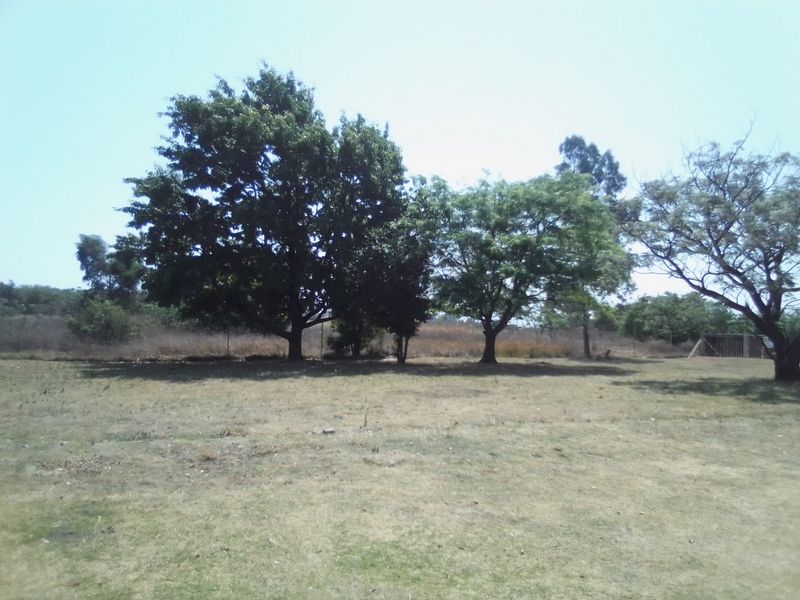 A view of the open farm grounds featuring mature trees and perimeter fencing, offering a spacious and natural outdoor setting.