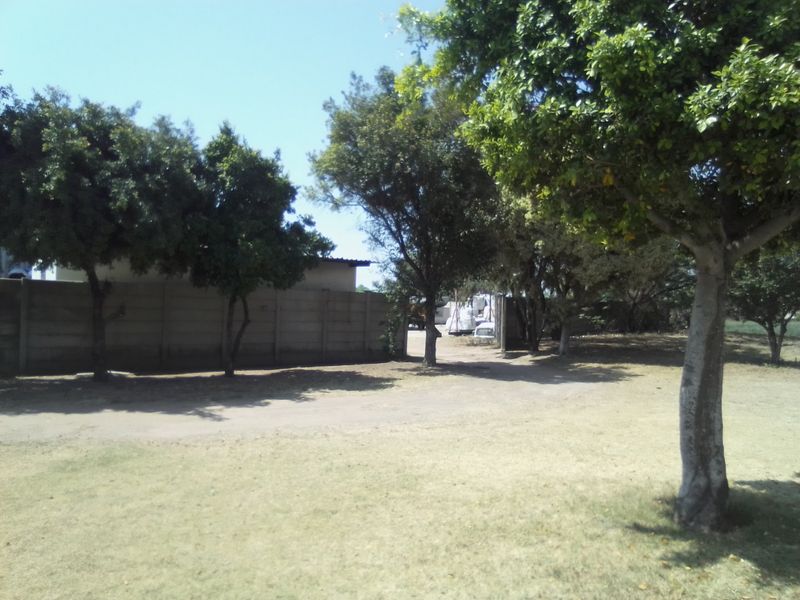 A spacious outdoor garden area featuring mature trees, a precast concrete boundary wall, and an unpaved driveway on the farm property.