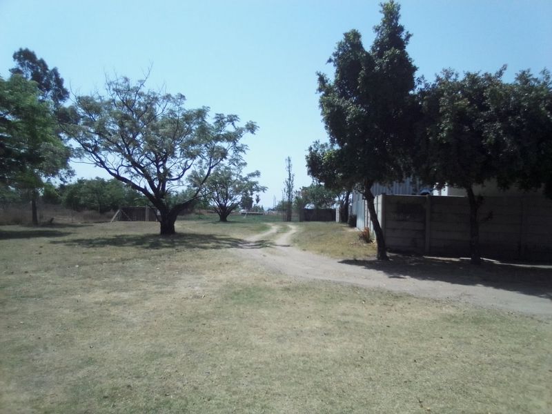 A spacious farm garden area featuring mature trees, a dirt driveway, and a precast concrete boundary wall.