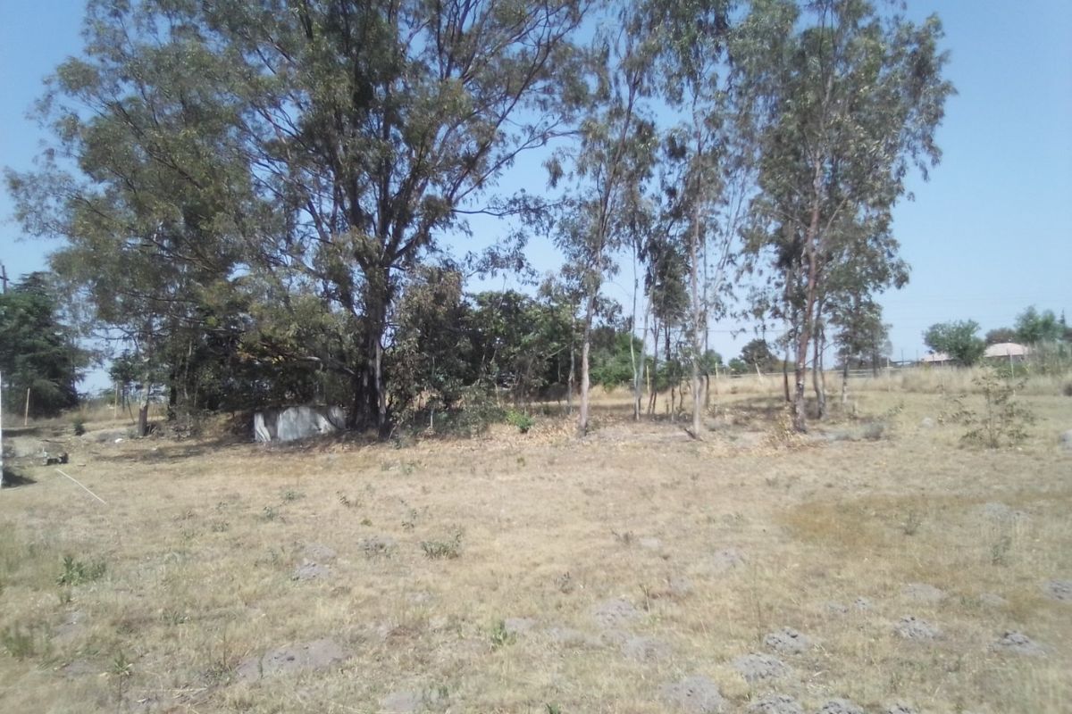 A view of a large, open farm plot featuring mature trees and natural vegetation, offering potential for development or agricultural use.