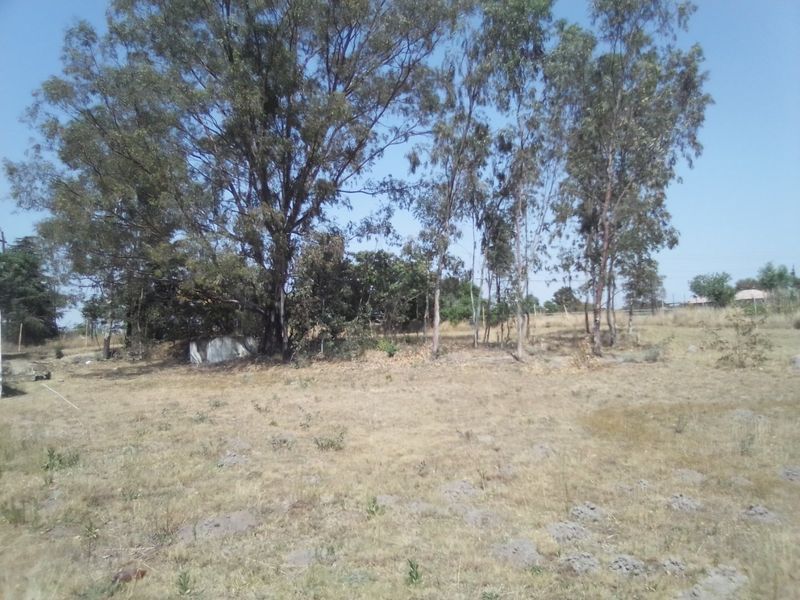 A view of a large, open farm plot featuring mature trees and natural vegetation, offering potential for development or agricultural use.