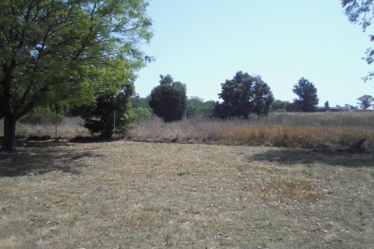 An expansive open garden area on the farm property featuring mature trees and perimeter wire fencing.