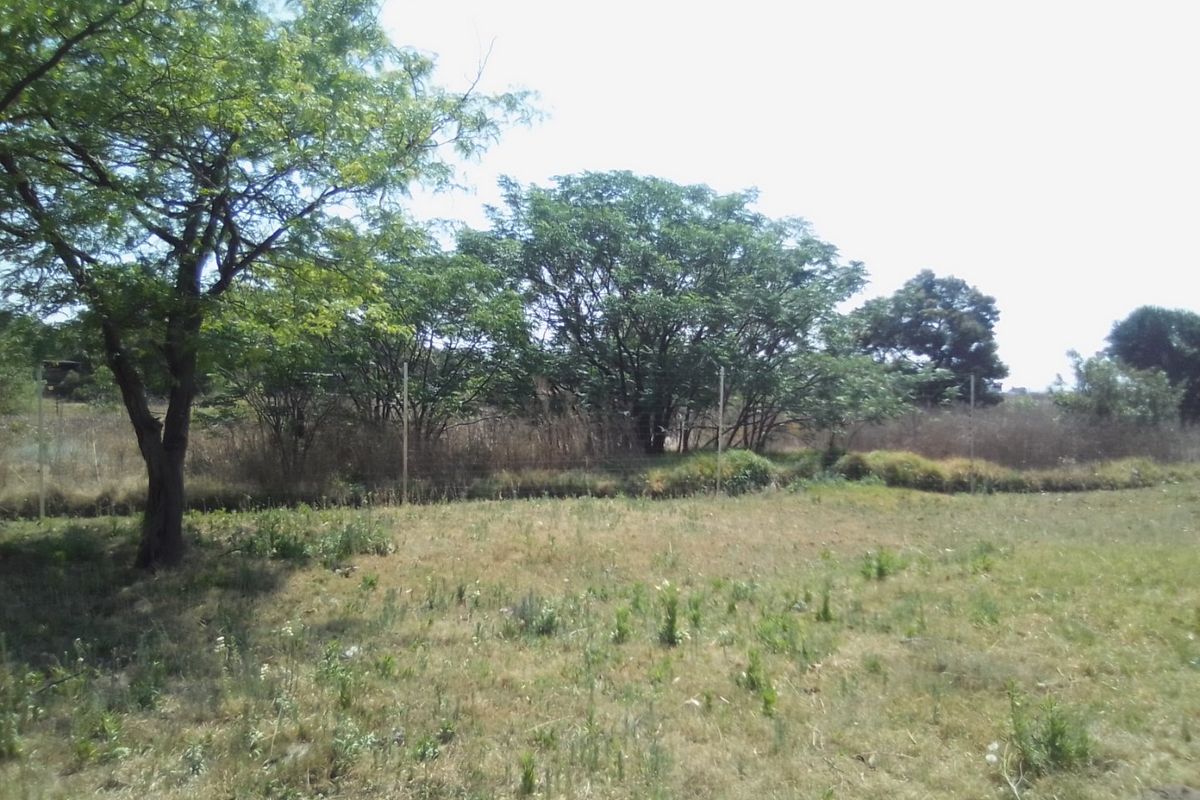 An open, grassy farm garden area featuring mature trees and perimeter wire fencing.